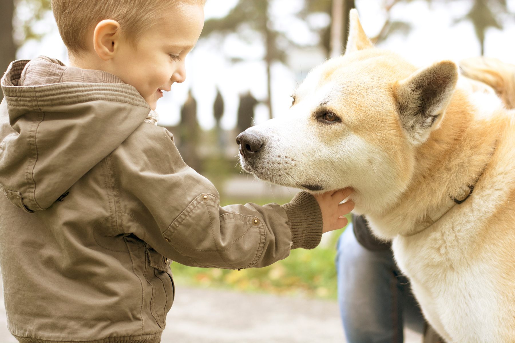 Kid and dog